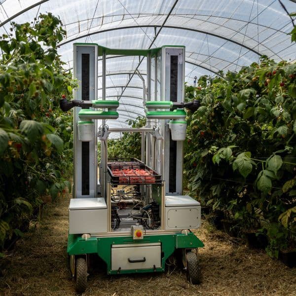 Fieldwork Robotics Harvester