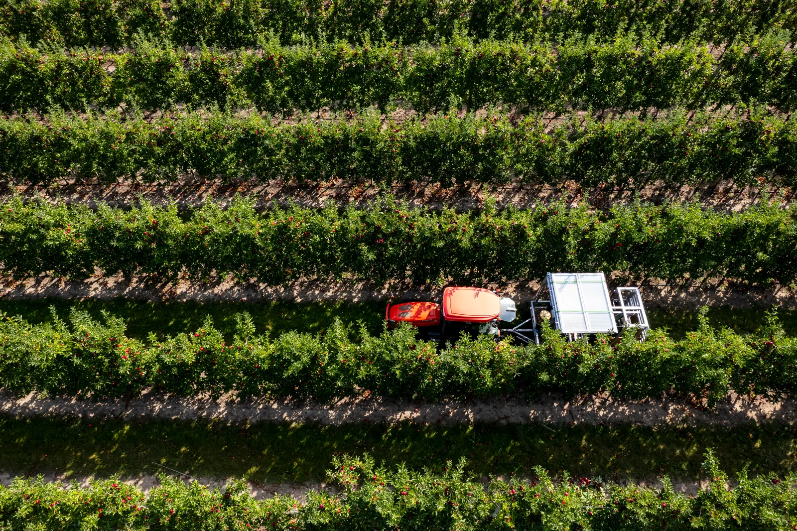 AgriDynamics harvest platform from above
