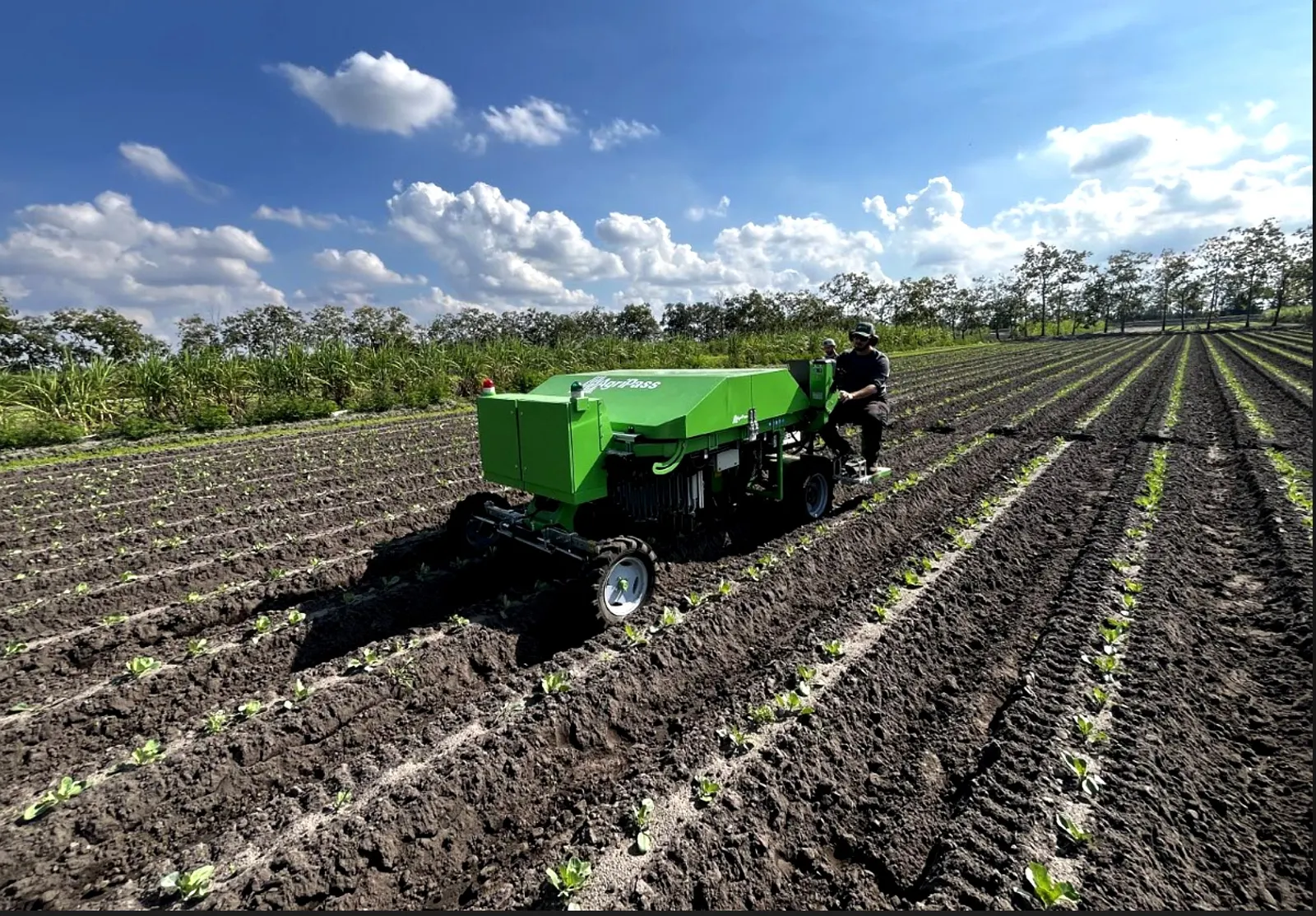 AgriPass RHIC on a Florida farm
