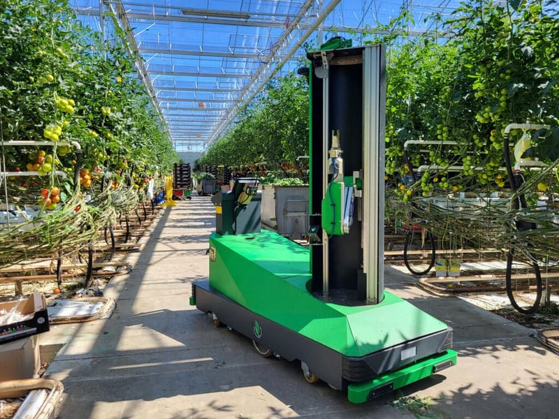 Aisprid D01 tomato deleafing robot on greenhouse rails