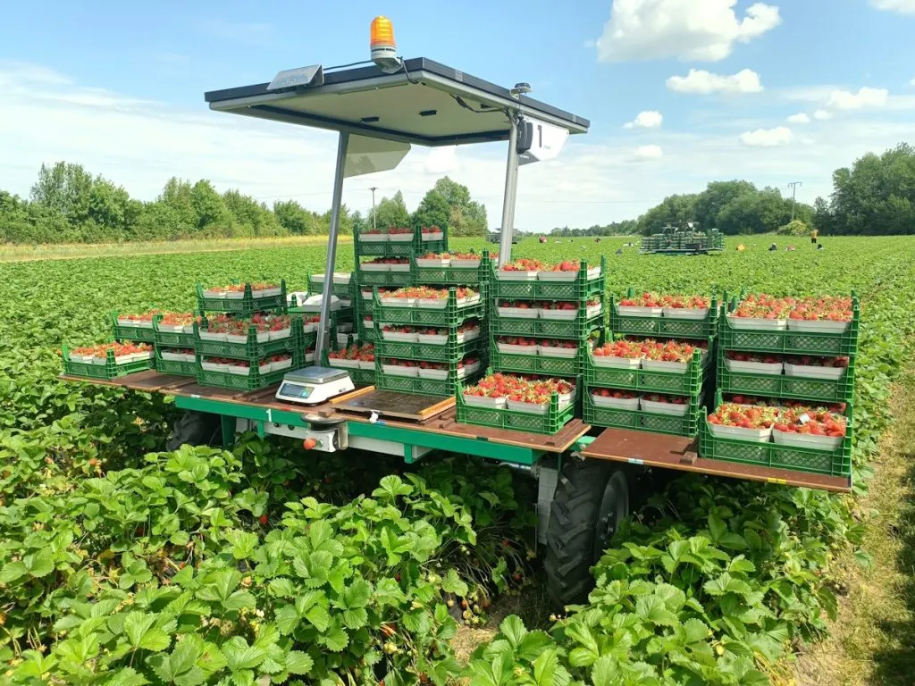 Ant Robotics VALERA CARRY