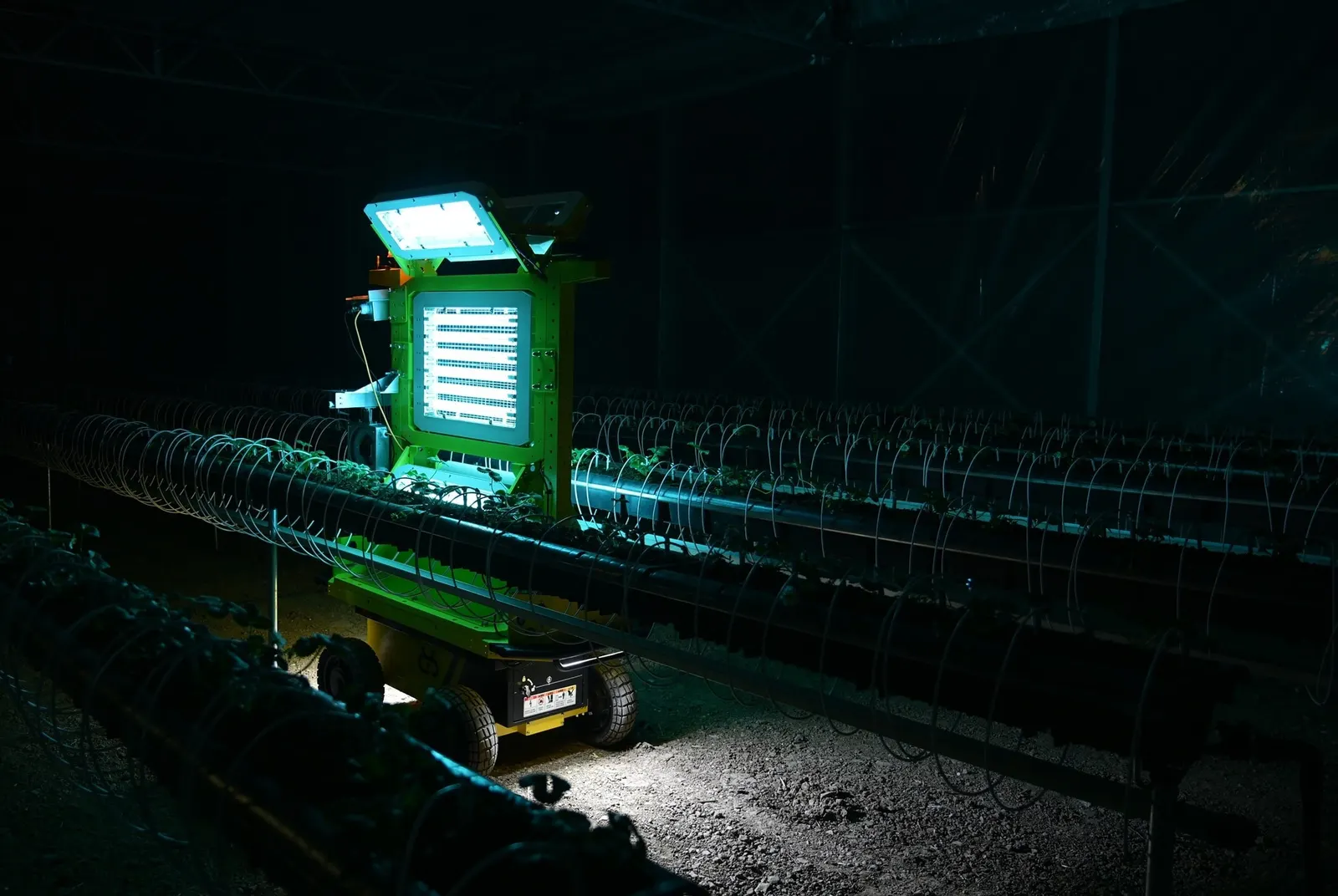 Antobot U303 UV-C robot in a strawberry greenhouse