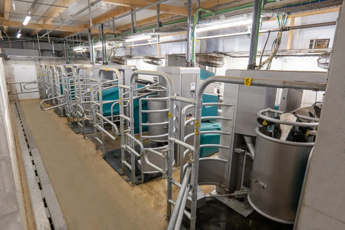 GEA DairyRobot R9600 semi-subway row of boxes