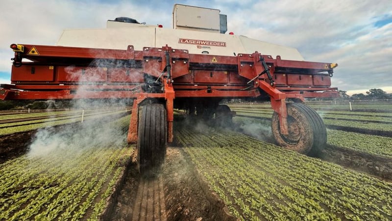 Carbon Robotics LaserWeeder working a vegetable field