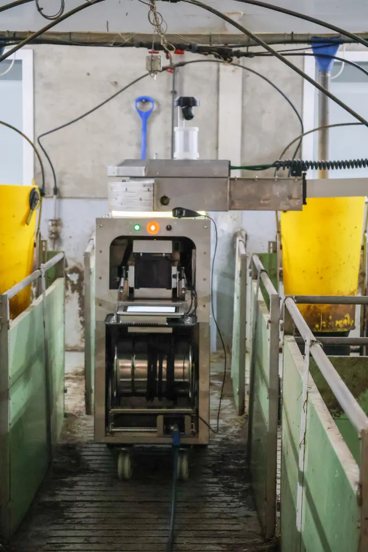 MS Smart Cleaning Robot full machine in a barn aisle