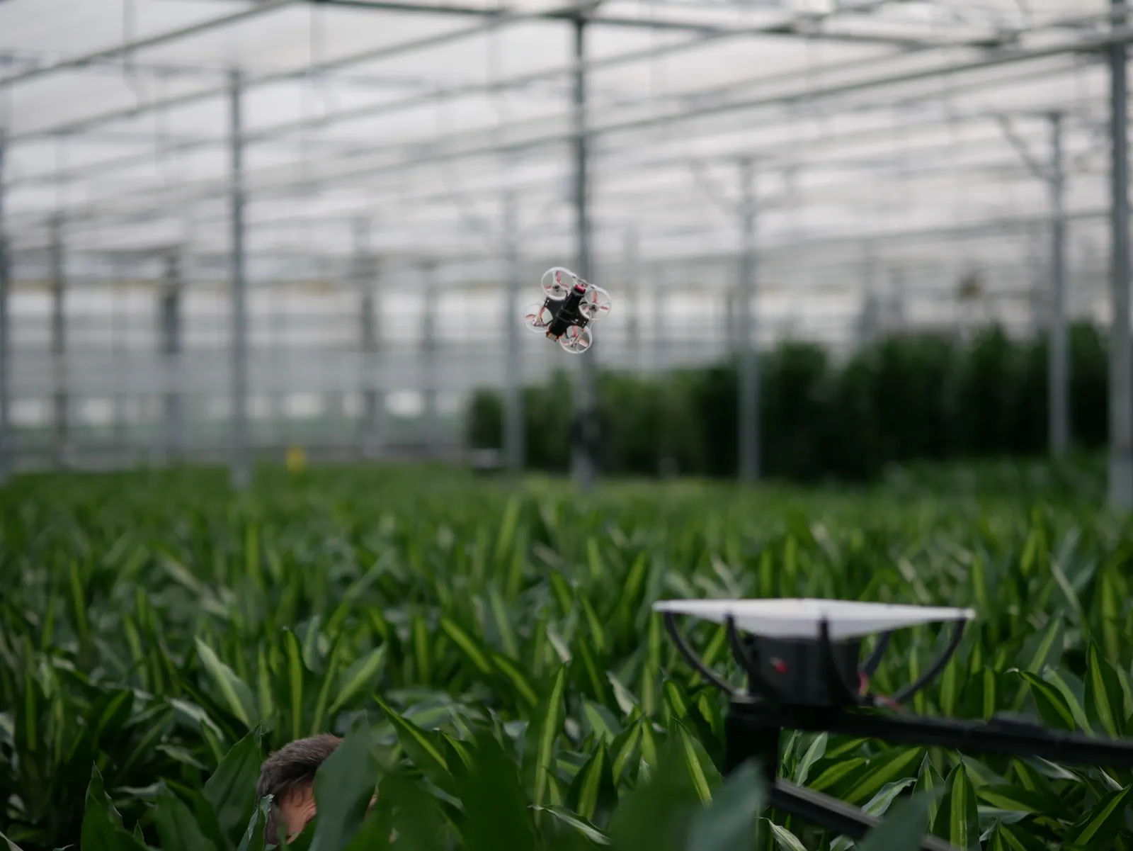 PATS-X indoor pest-control drone