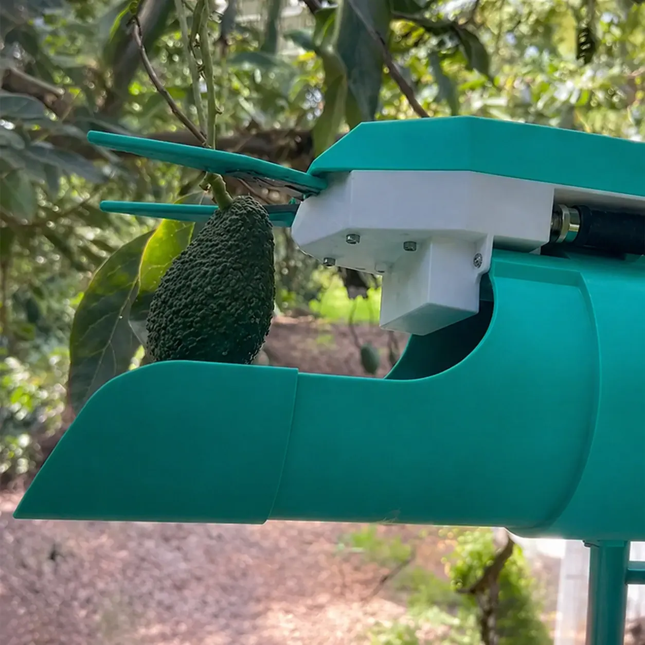 Picker Snip-N-Roll harvest head