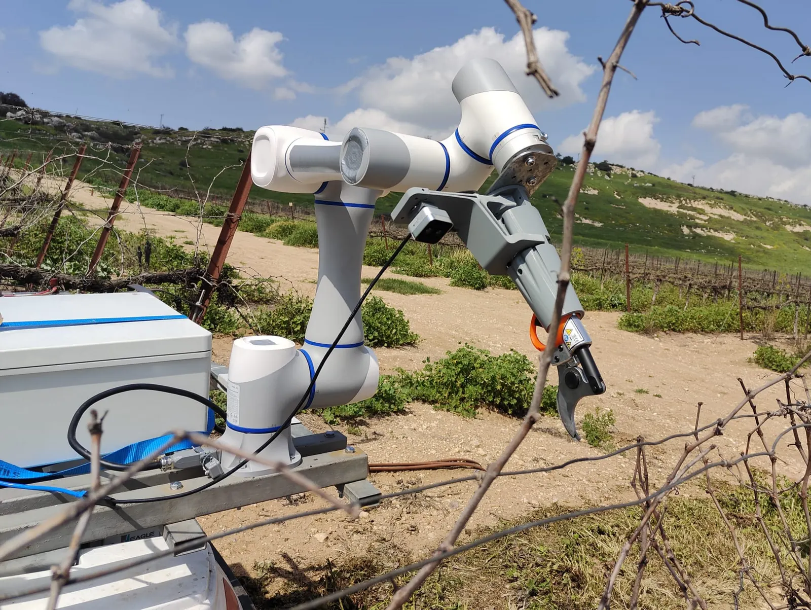 Robotic Perception AI Pruner