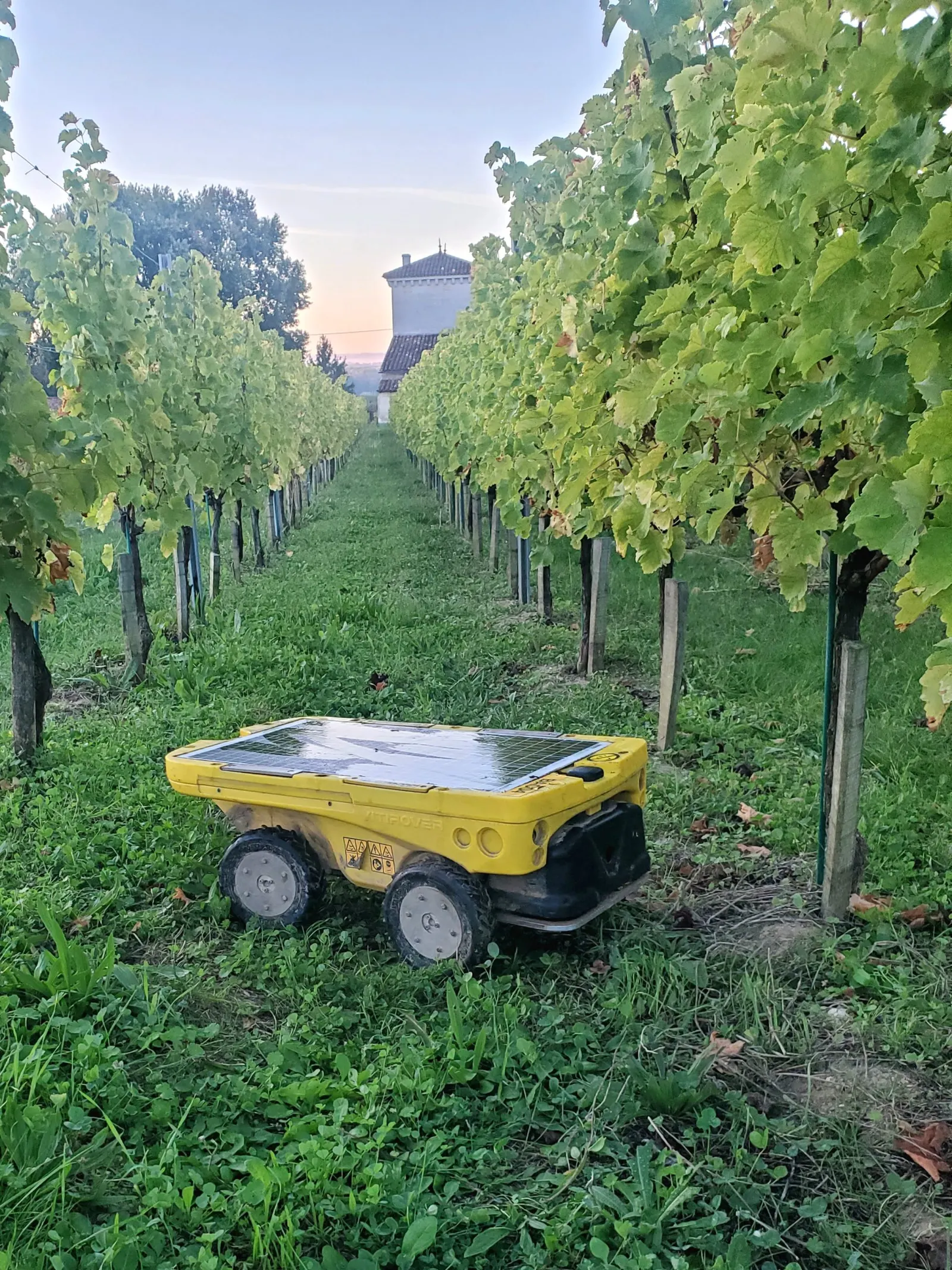Vitirover VR8 in a vineyard row