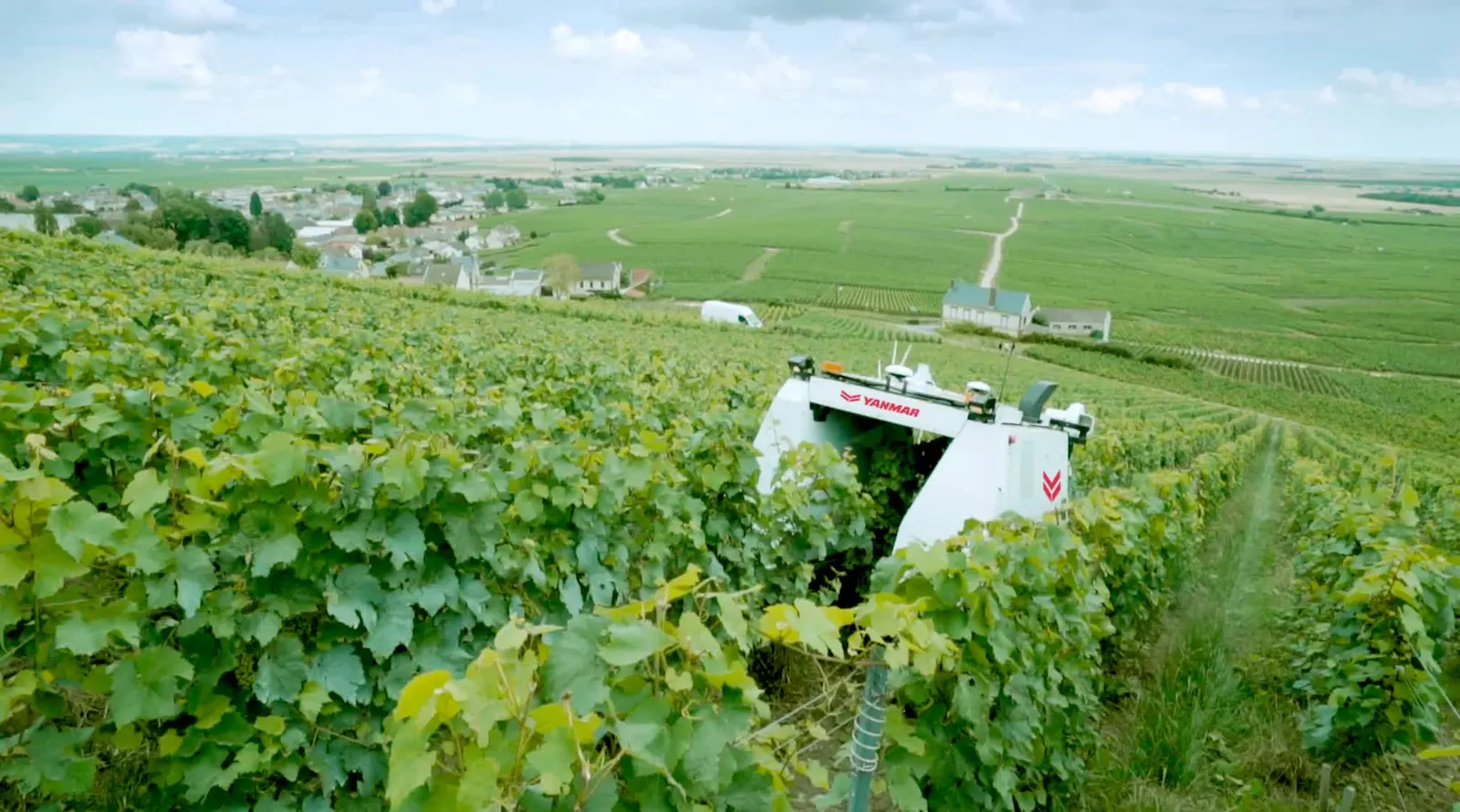 Yanmar YV01 straddling vines in a Champagne vineyard